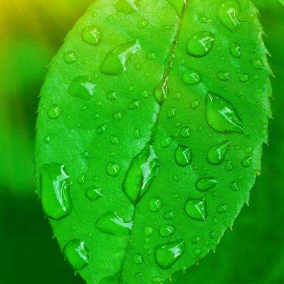 leyu·乐鱼(中国)体育下载手机版